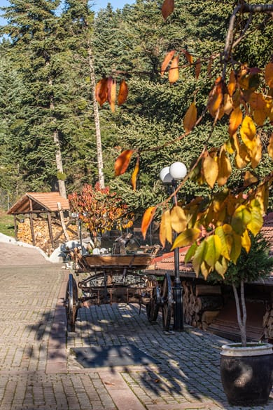 Chalet Elati - Image 6
