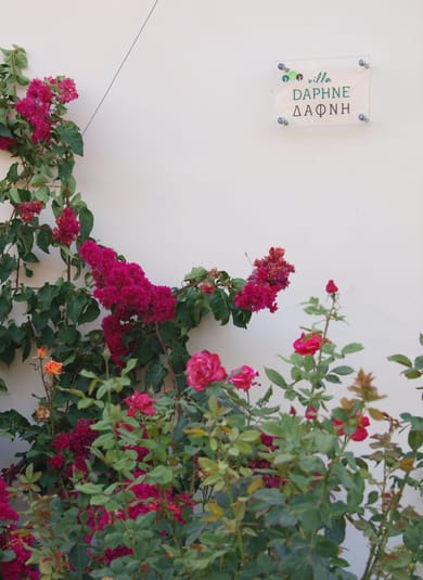 Chania Village - Image 5