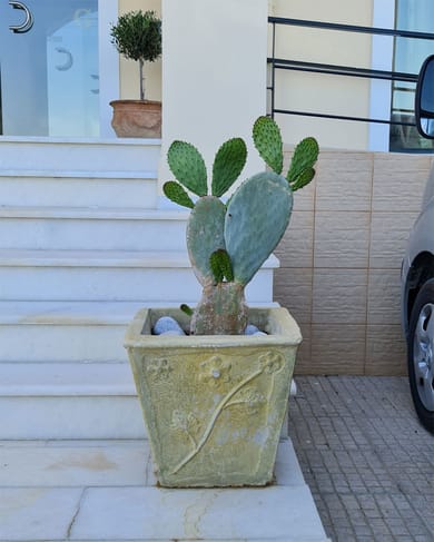 Chateau de Georges - Image 2