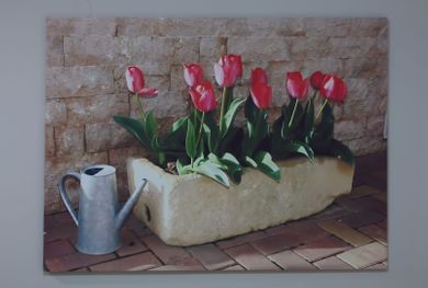 Chios Xenia - Image 3