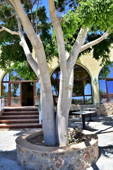 Chrysoula Hotel - Image 7