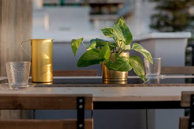 Clyde Athens by Nin&Bau - Image 5