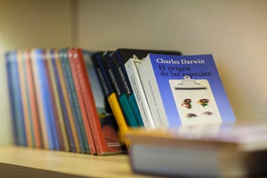 COCO-MAT Hotel Nafsika - Image 4