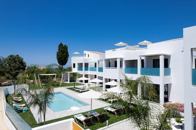 Coconut Palm Paradise - Image 2