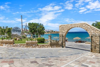 Contaratos Beach Paros - Image 2