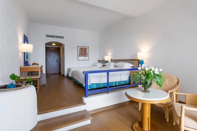 Executive Junior Suite