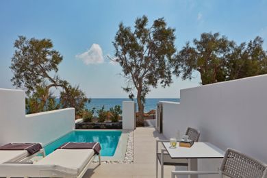 Deluxe Double with Private Pool