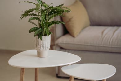 Cozy Living Apartment 4