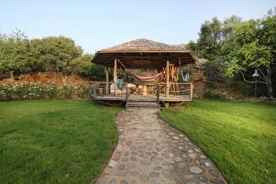 Captain Ikaros - Image 2