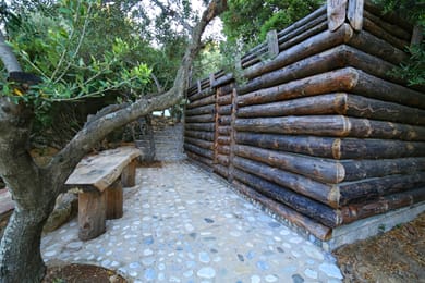 Captain Ikaros - Image 3