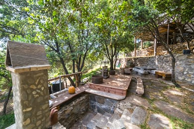 Captain Ikaros - Image 5