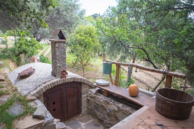 Captain Ikaros - Image 6