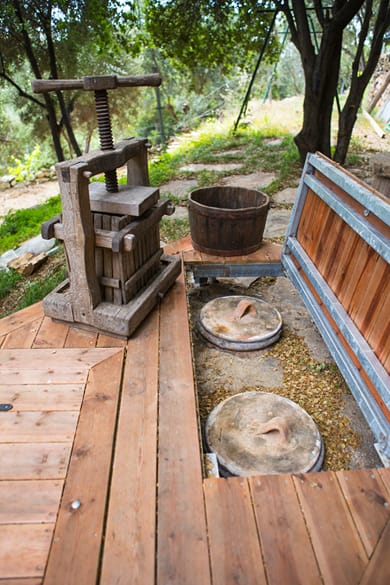 Captain Ikaros - Image 7