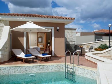 Double Room Swim up Garden View