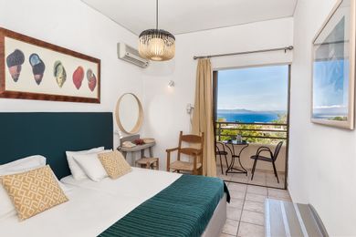 Double or Twin Room with Sea View