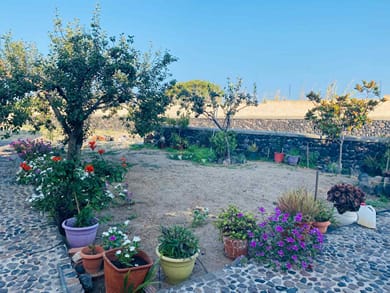 Dagris Villas Santorini - Image 6