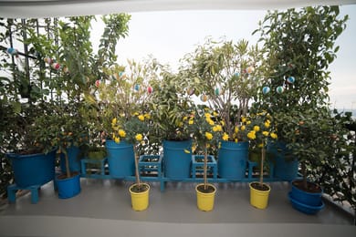 Dandy Villas Nea Kallikratia Sea View Loft - Image 2