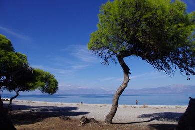 Daphne's Club Hotel Apartments - Image 2