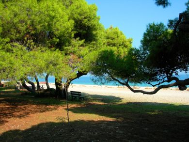 Daphne's Club Hotel Apartments - Image 4