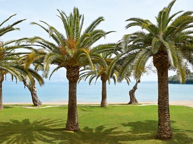 Grecotel Daphnila Bay - Image 3