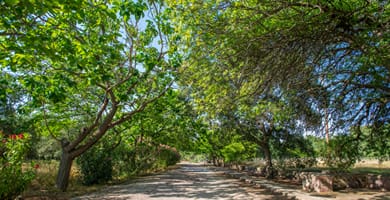 Hotel Delfinia - Image 7