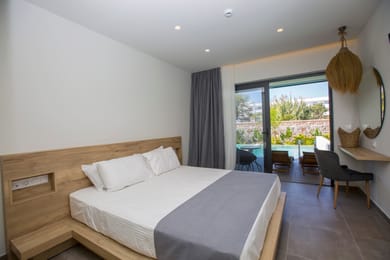 Suite with Private Pool 35 sqrm