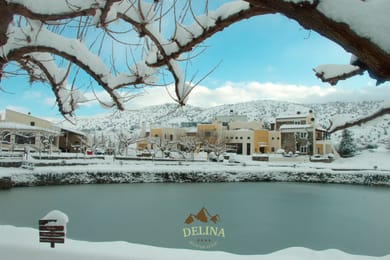 Delina Mountain Resort - Image 3