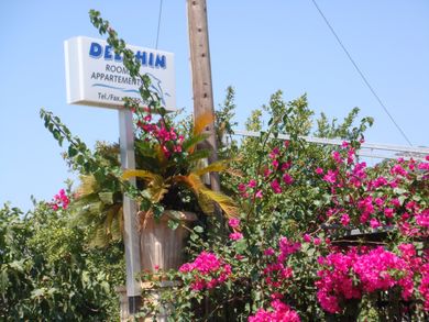 Delphin Rooms Sivota - Image 6