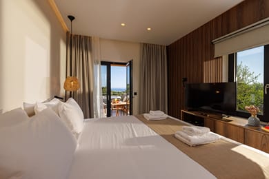 Deluxe Mini Suite with Jacuzzi