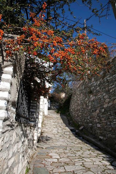 Despotiko Hotel Portaria - Image 2