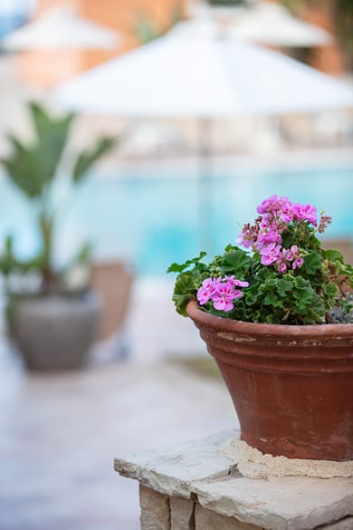 Dia Apartments - Image 4