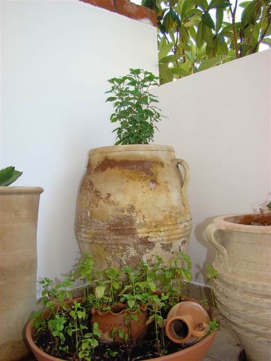 Diamond Apts & Suites - Image 7