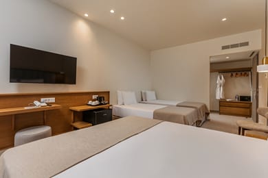 1 Bedroom Family Room