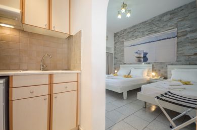 Apartment (Up to 4 guests)