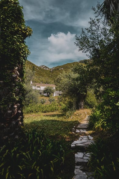 Rent the whole property