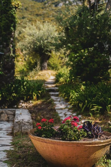 Villa Dimoulitsa - Image 6