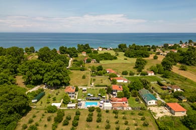 Alba Marea - Image 6