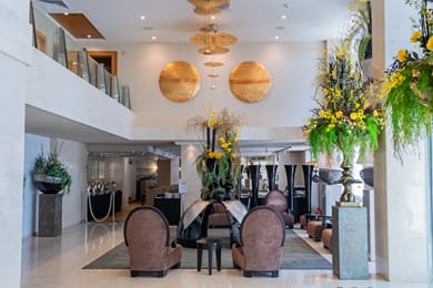 Divani Escape - Image 7