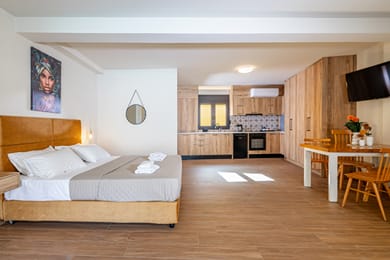 Zeus Studio With Sofa Bed