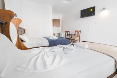 Triple Room with Pool View