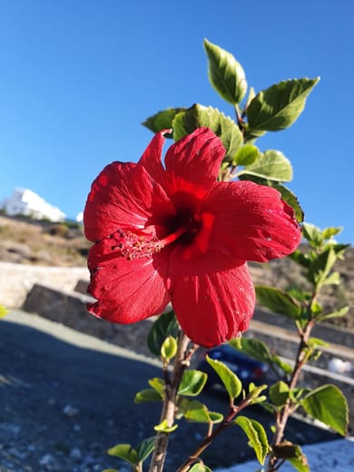 Dolce Vista-Sea View Apartments - Image 4