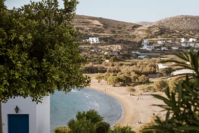 Dolphin Bay Seaside Resort & Suites - Image 7