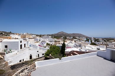 Dolphin Estate 1868 - Image 6