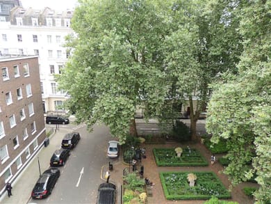 Dolphin Inn - Image 6