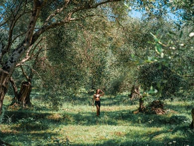 Dracos Hotel - Image 5