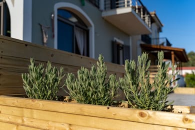 Driftwood House - Image 2
