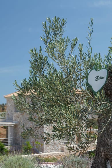 Edem Resort Porto Heli - Image 4