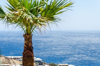 Eden View Suites & Villas - Image 7