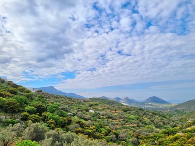 ELaiolithos - Image 5