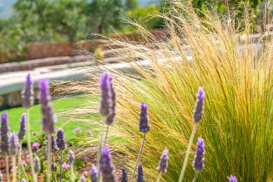 Elafonisos Aqua Villas - Image 5